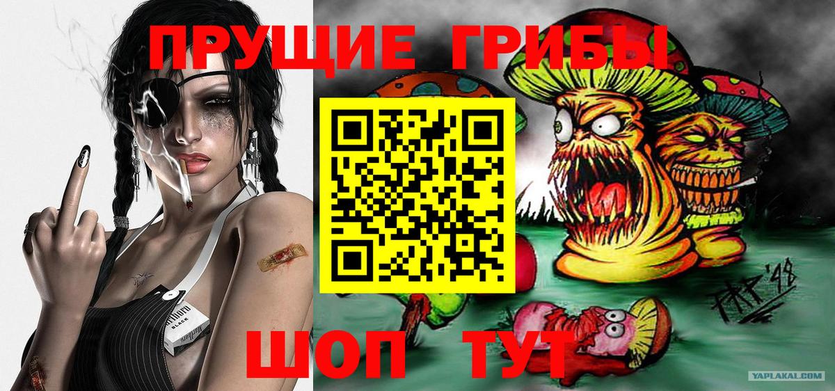 Псилоцибиновые грибы ЛСД Гудермес