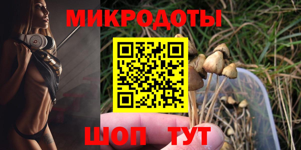 Галлюциногенные грибы Psilocybe  Вход с VPN  Гудермес 