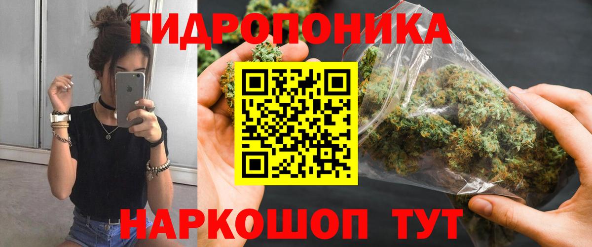 Шишки марихуана SATIVA & INDICA Гудермес